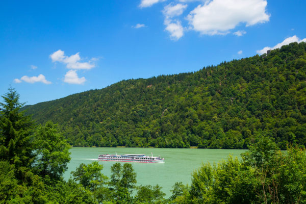 BAYERISCHER WALD – Image 4