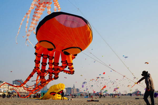 FESTIVAL DES CERFS-VOLANTS