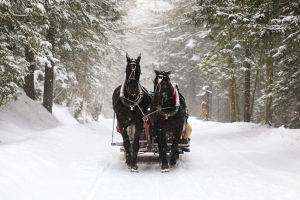 Noël dans le Bayerischer Wald – Image 3